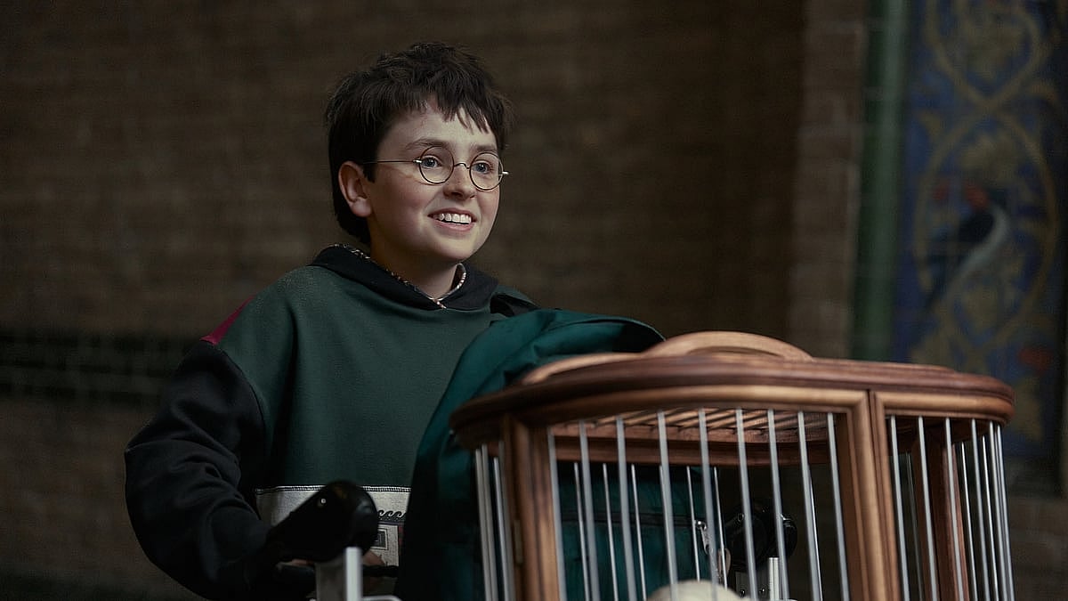 HBO Harry Potter Season 2 Already in Development, Exec Confirms