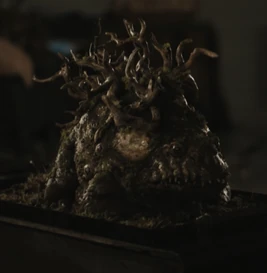 HBO's creature department showcases practical animatronic magical creatures including Flubberworms, Fire Crabs, and Dugbogs